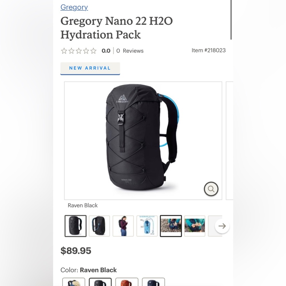 Gregory Nano 22 h2o backpack - black
